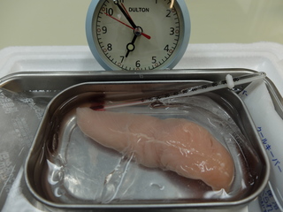 DSCF2146.JPG
