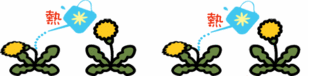 img_h0571.gif